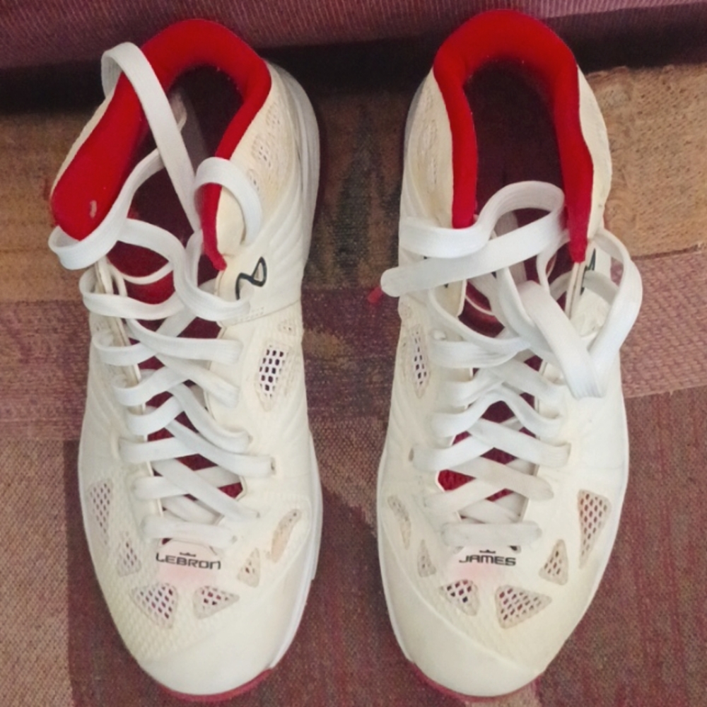 Nike LeBron James X